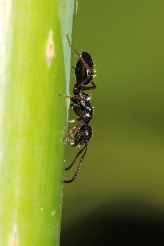 17 mai 2021, à Montferrier-sur-Lez (34) &copy; Bastien Louboutin
